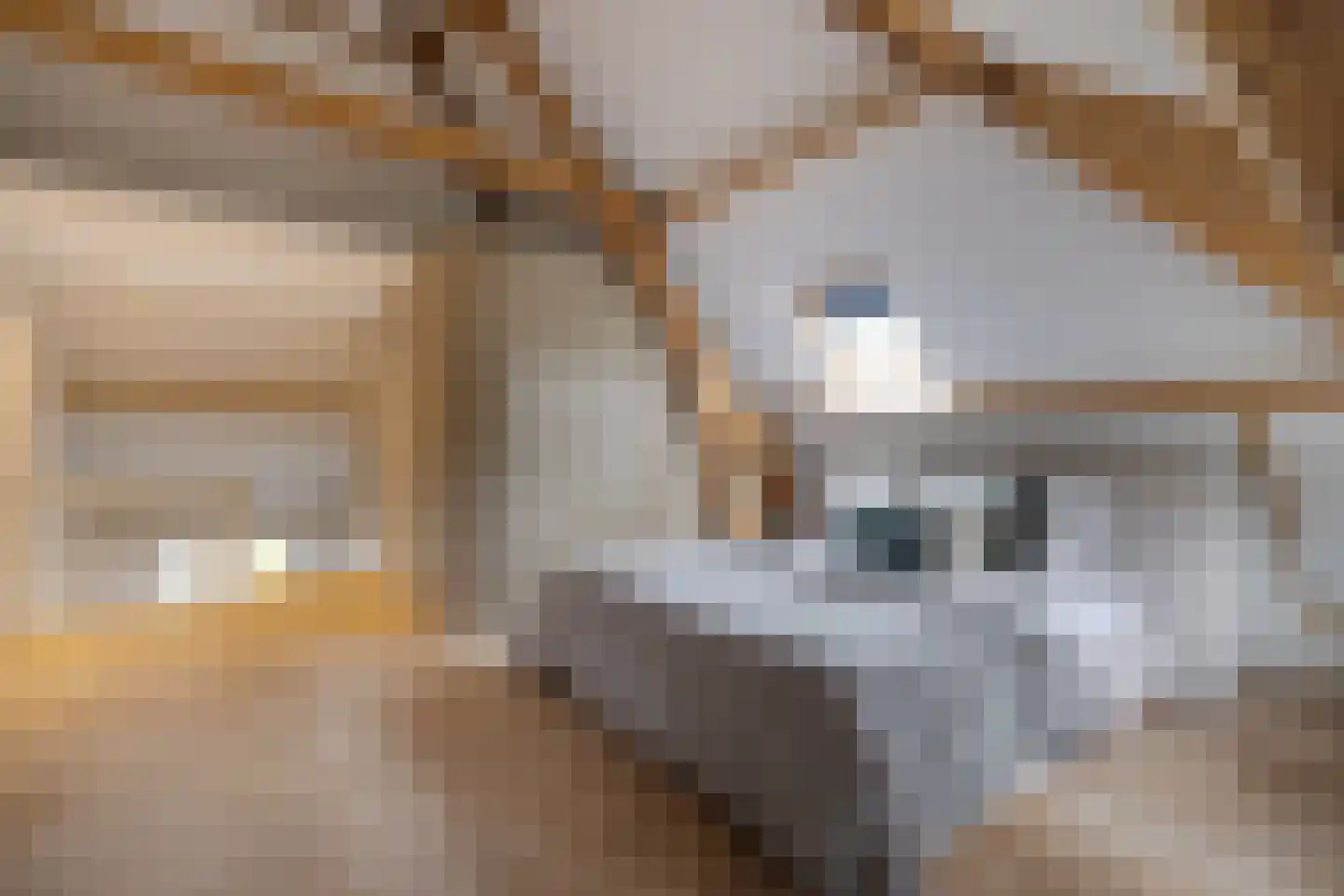 Oranjelaan 5 Helmond thumbnail 44
