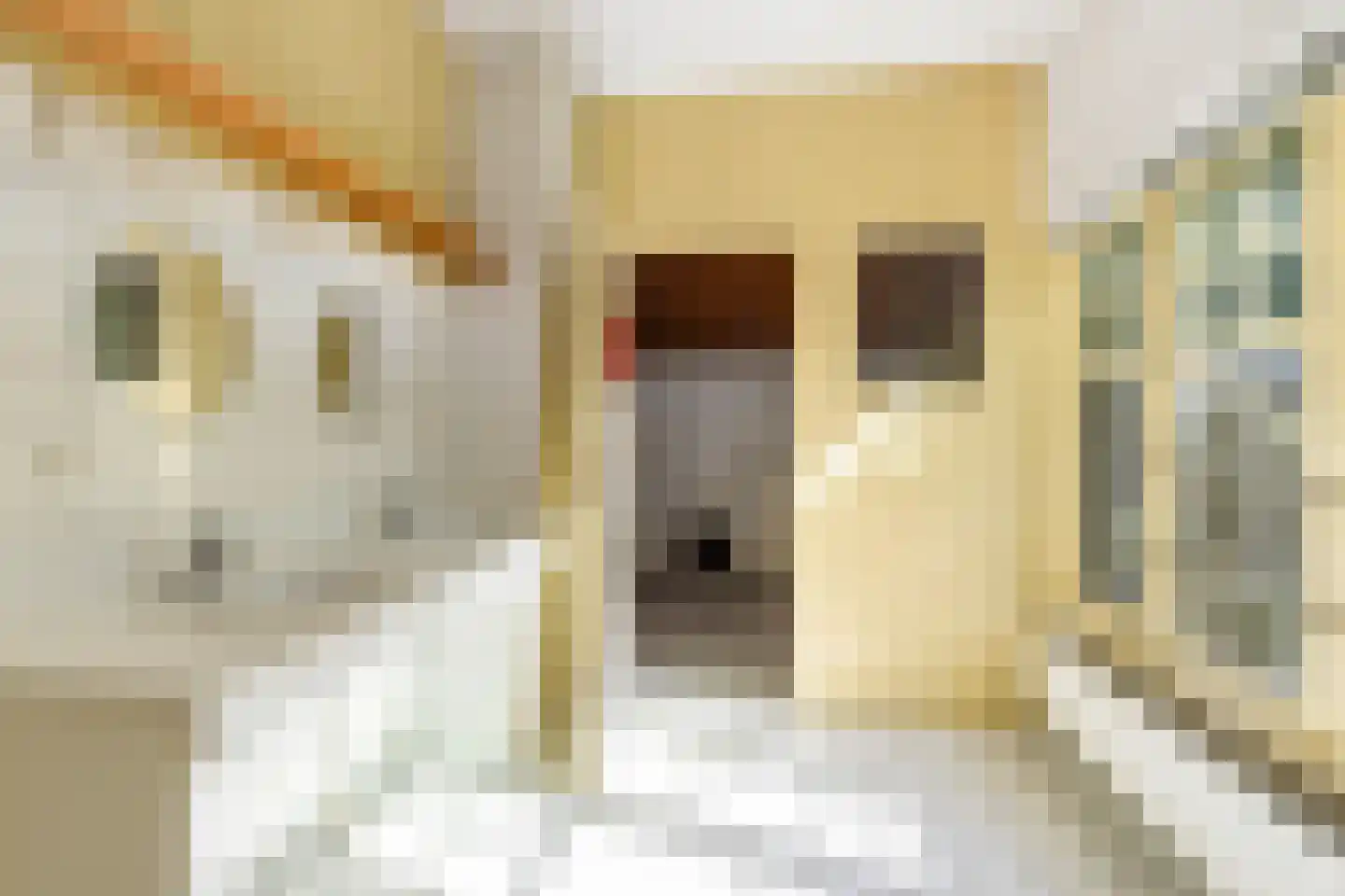 Oranjelaan 5 Hilversum thumbnail 23