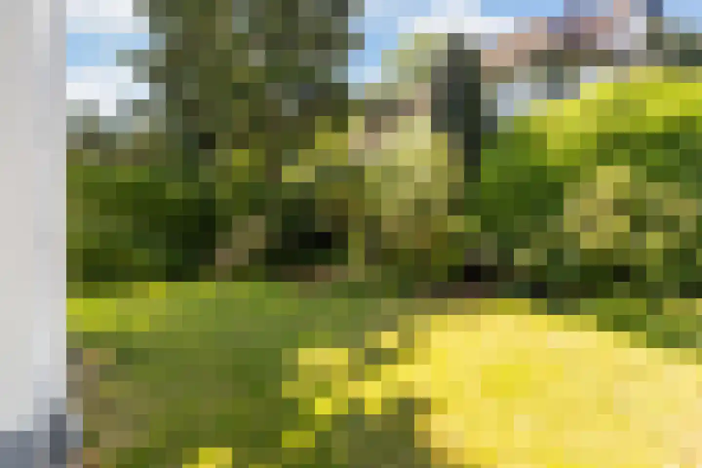 Oranjelaan 5 Hilversum thumbnail 27