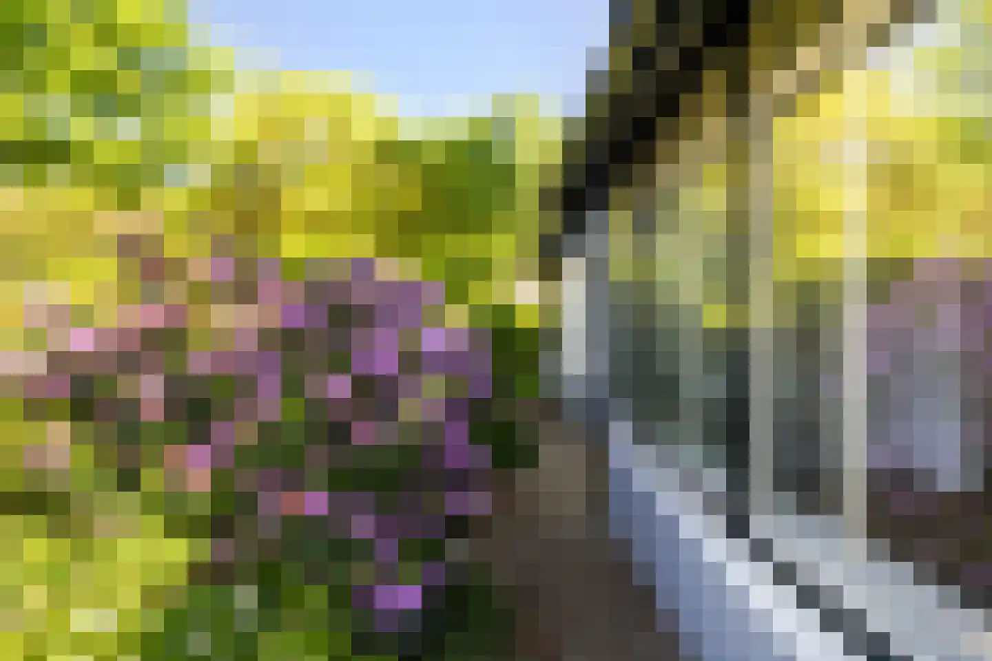 Oranjelaan 5 Hilversum thumbnail 28