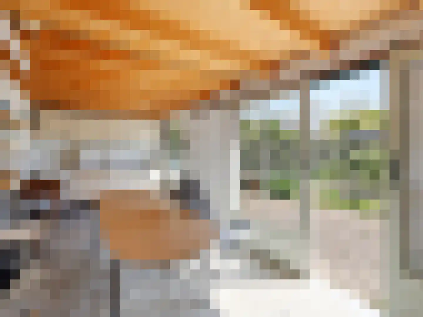 Oranjelaan 5 Warnsveld thumbnail 34
