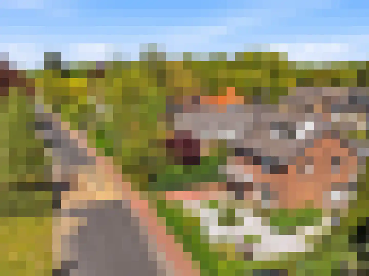 Oranjelaan 5 Warnsveld thumbnail 38
