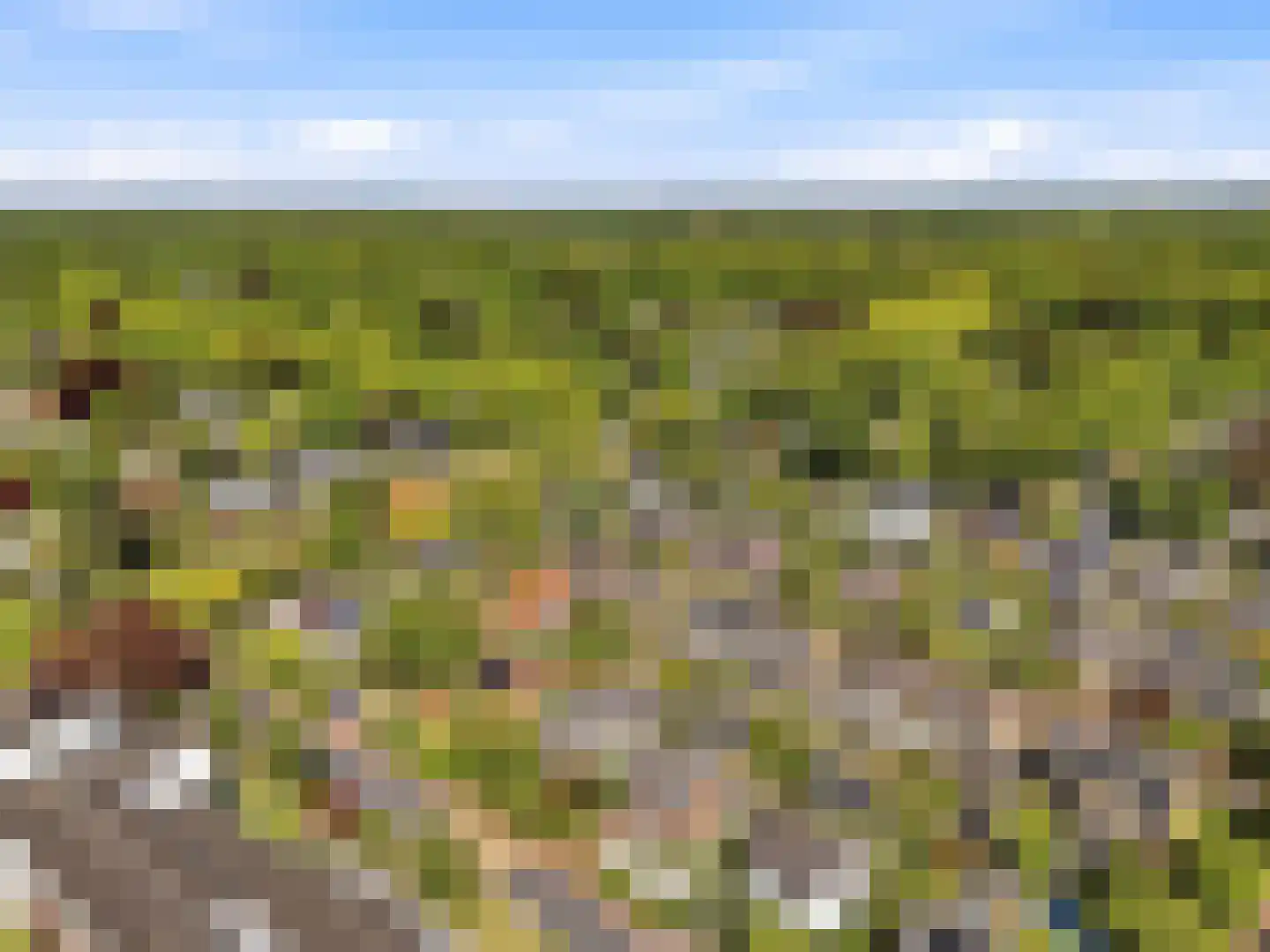 Oranjelaan 5 Warnsveld thumbnail 41