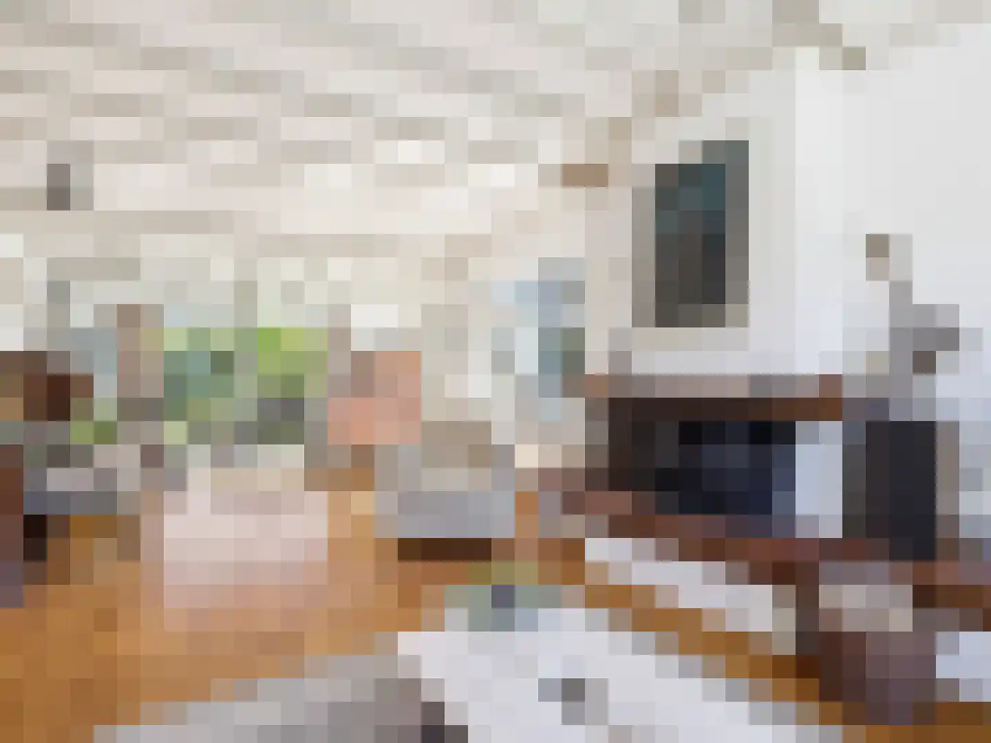 Oranjelaan 5 Warnsveld thumbnail 9