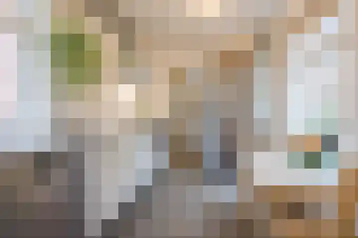 Oranjelaan 51 Bodegraven thumbnail 4