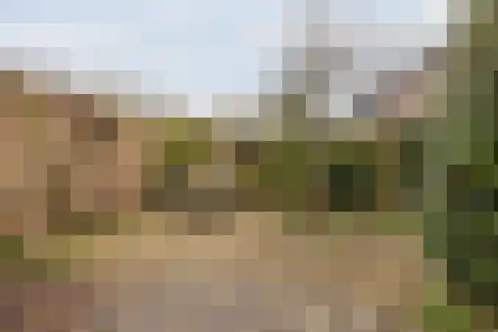 Oranjelaan 51 Bodegraven thumbnail 61