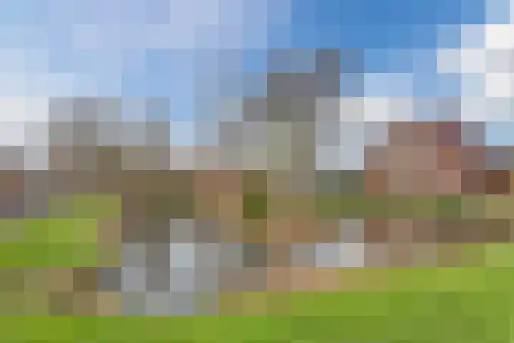 Oranjelaan 51 Bodegraven thumbnail 74