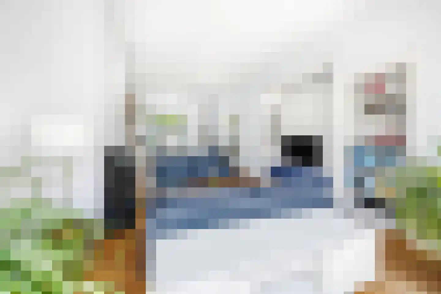 Oranjelaan 51 Rijswijk thumbnail 14