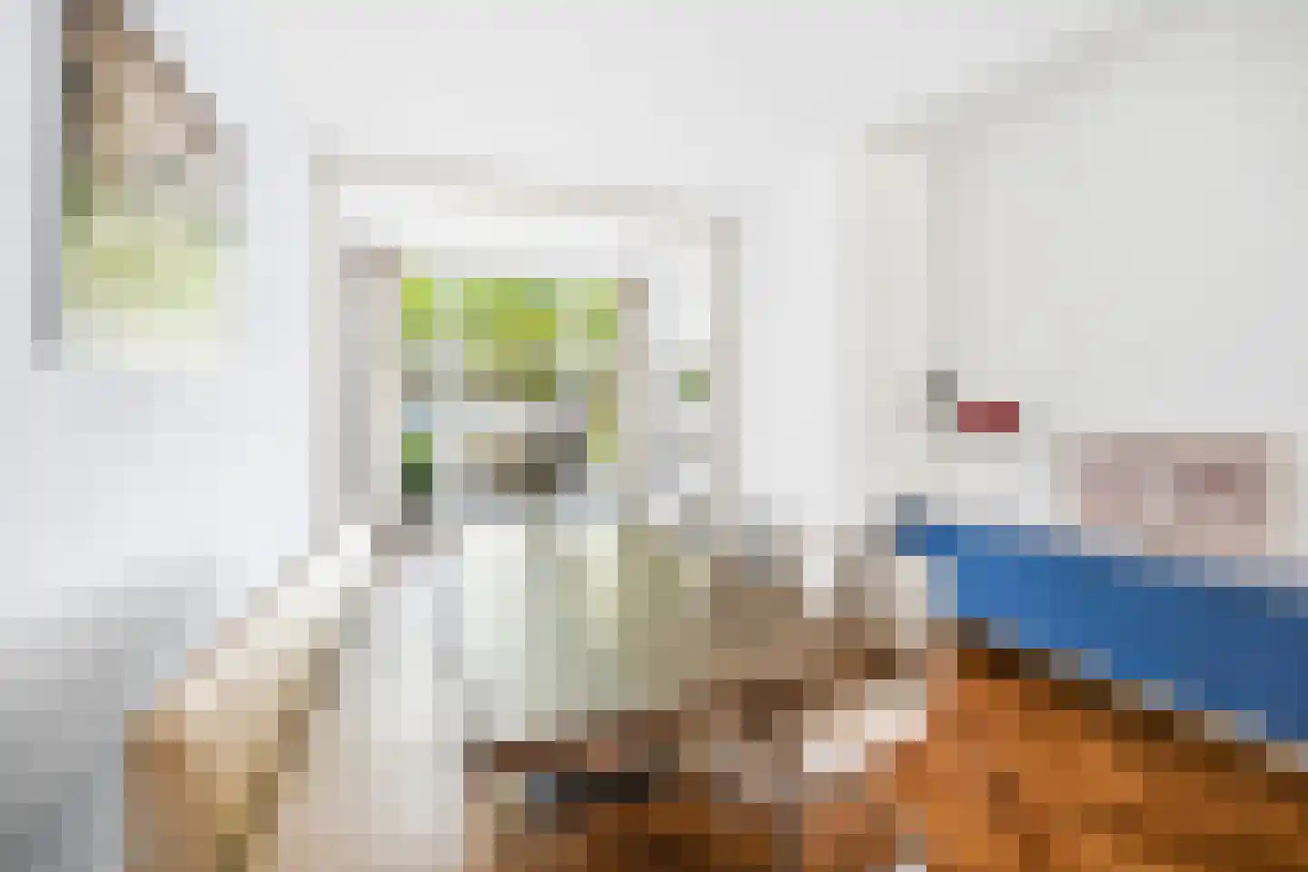 Oranjelaan 51 Rijswijk thumbnail 16