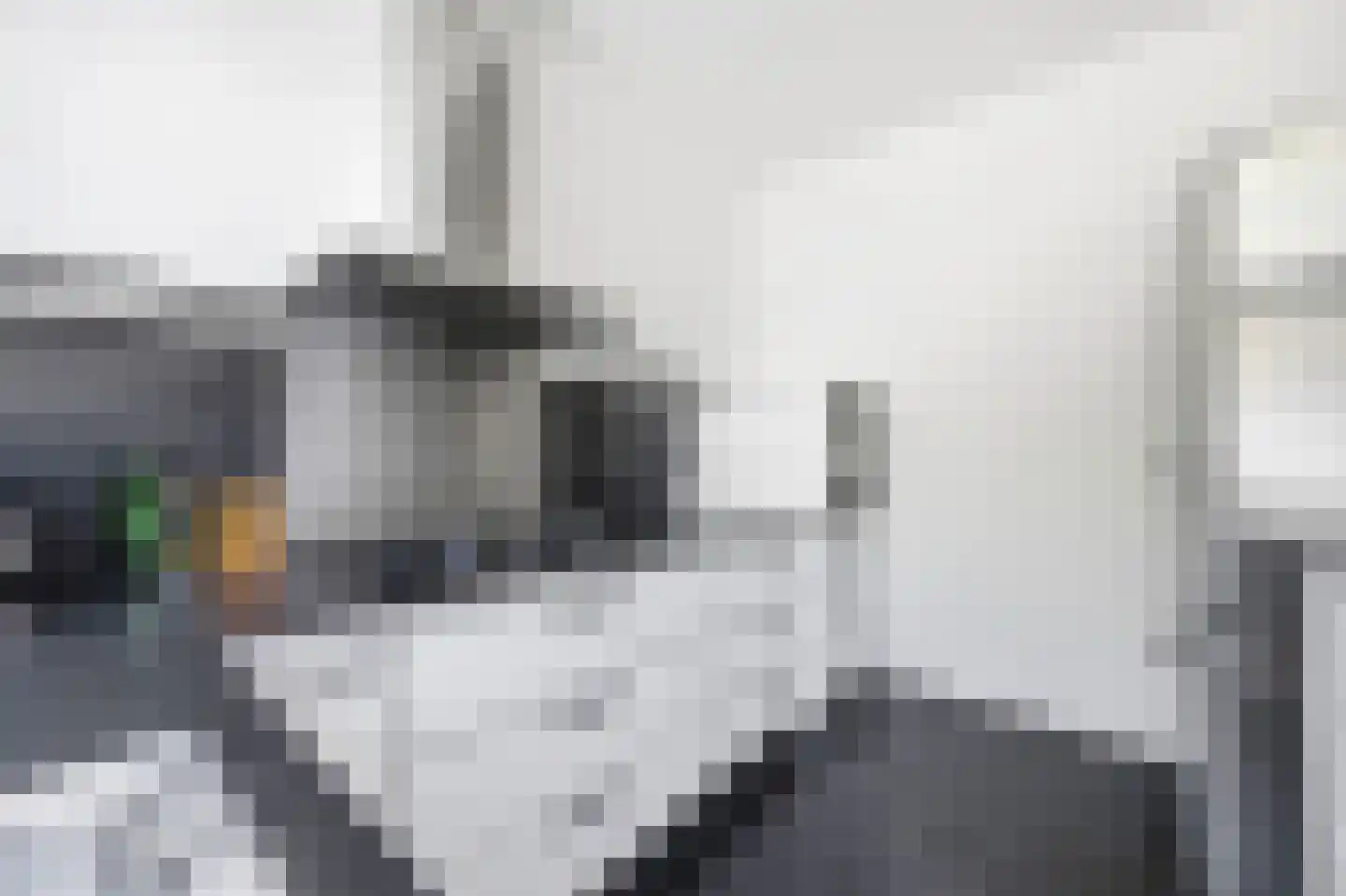 Oranjelaan 51 Rijswijk thumbnail 21