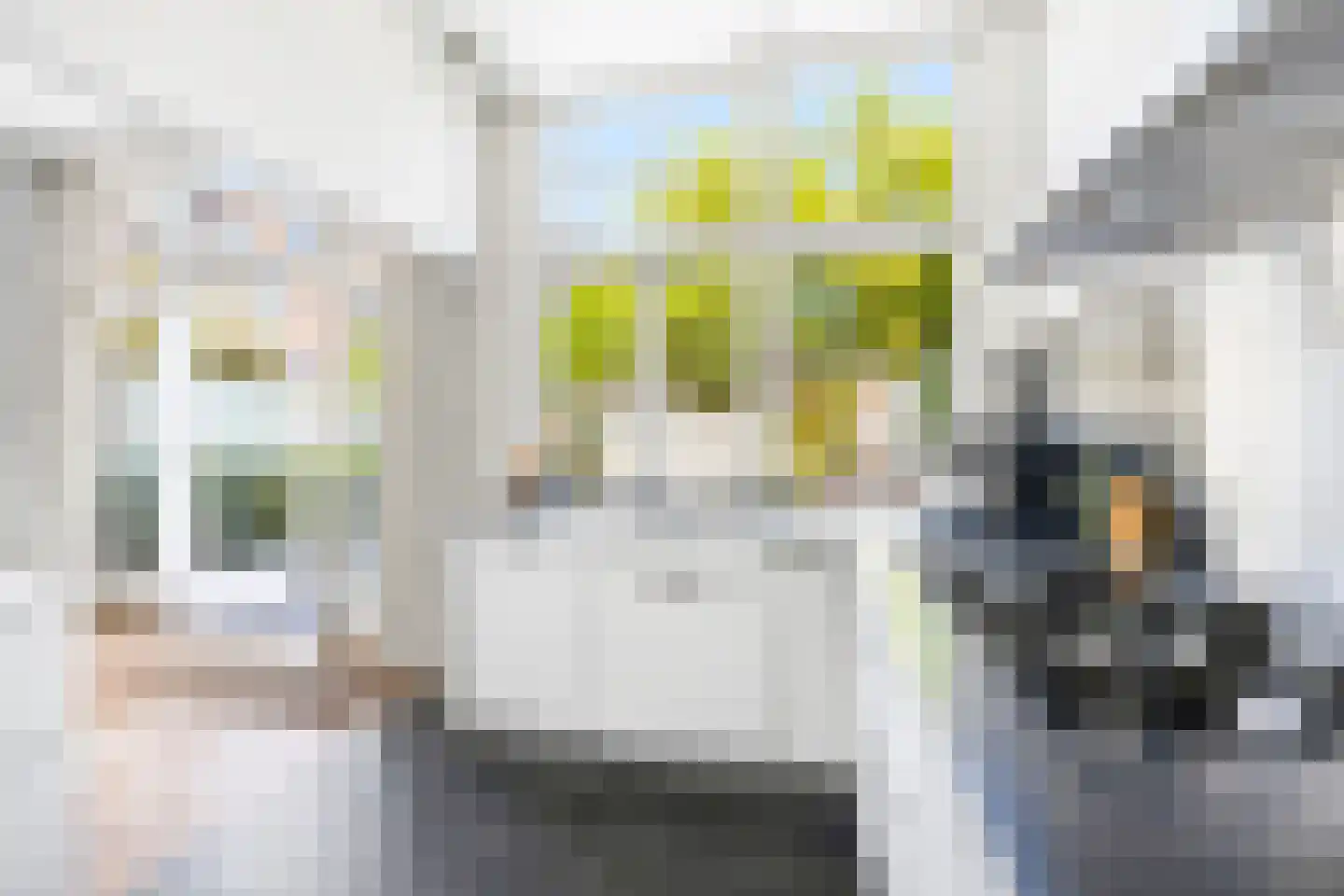 Oranjelaan 51 Rijswijk thumbnail 22