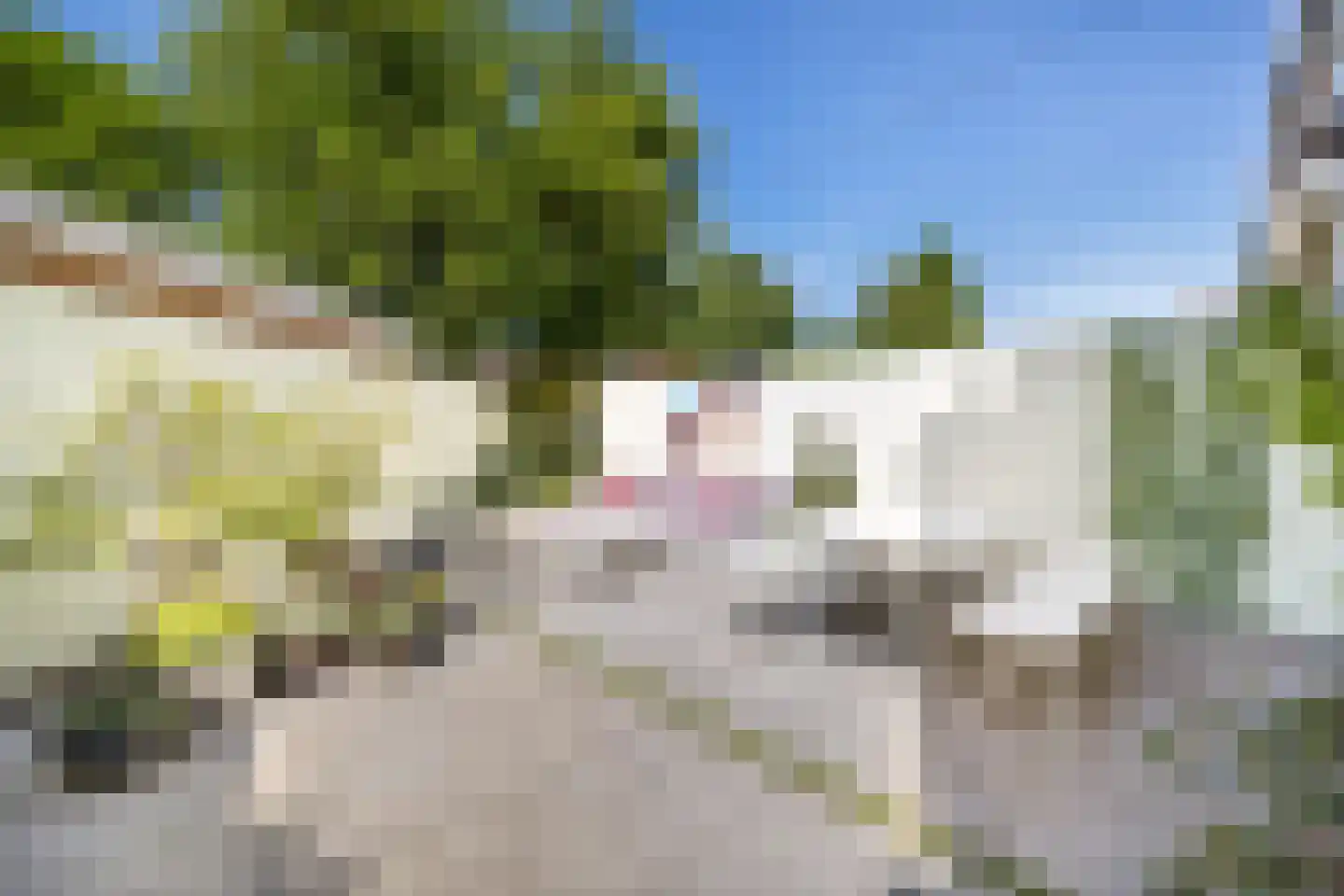 Oranjelaan 51 Rijswijk thumbnail 24