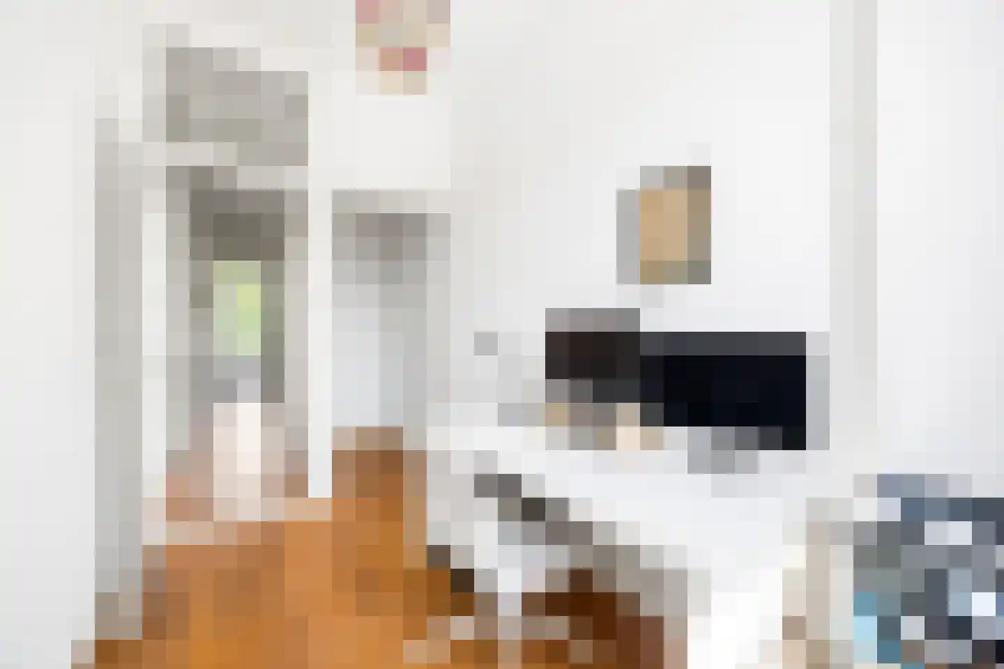 Oranjelaan 51 Rijswijk thumbnail 31