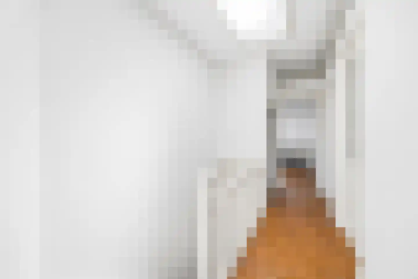 Oranjelaan 51 Rijswijk thumbnail 42