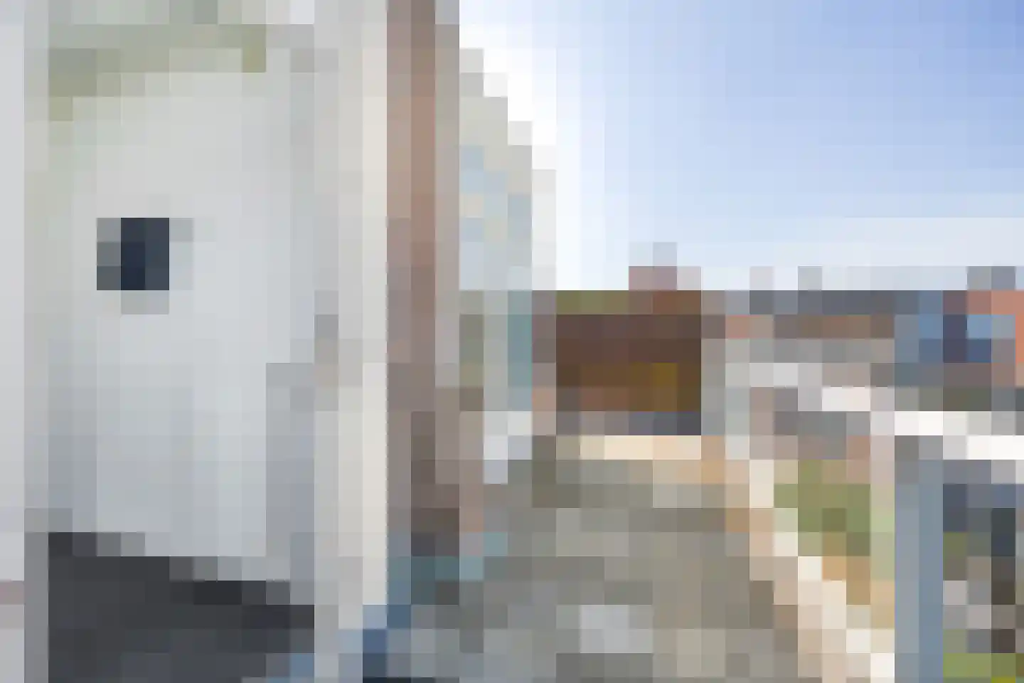 Oranjelaan 51 Rijswijk thumbnail 49
