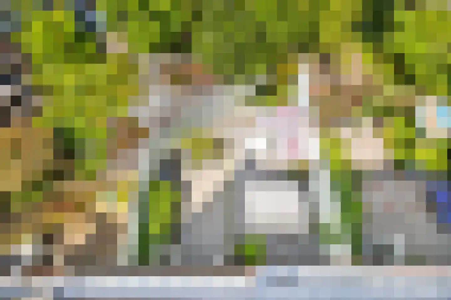 Oranjelaan 51 Rijswijk thumbnail 51
