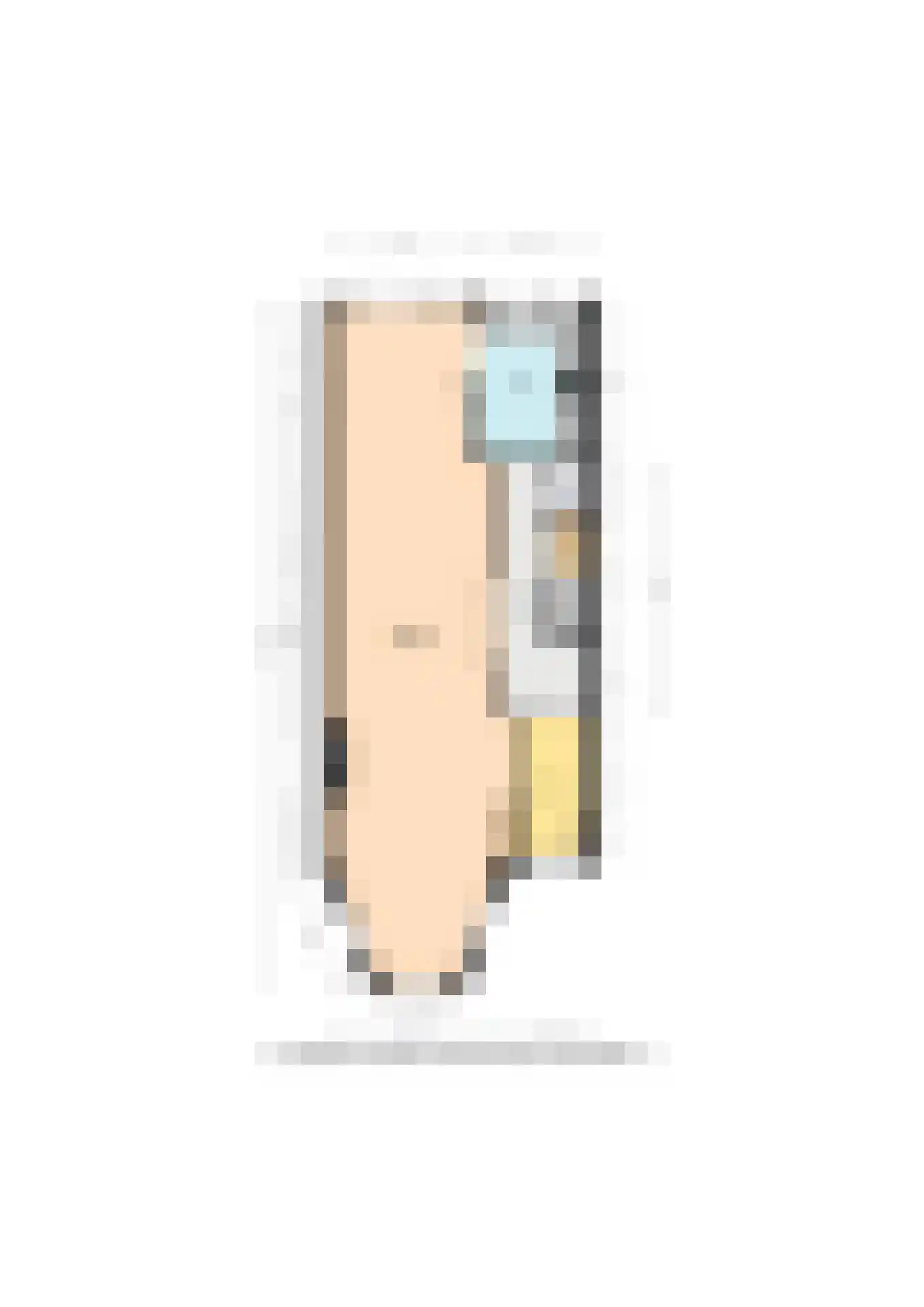 Oranjelaan 51 Rijswijk thumbnail 59