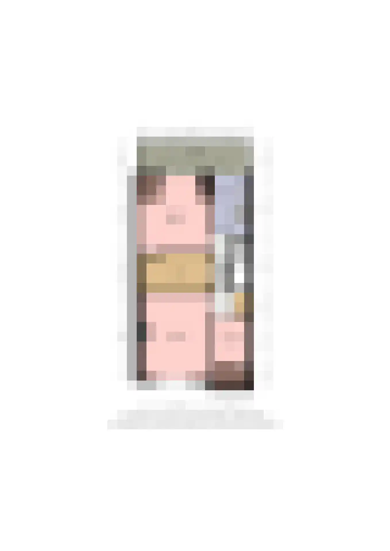 Oranjelaan 51 Rijswijk thumbnail 61