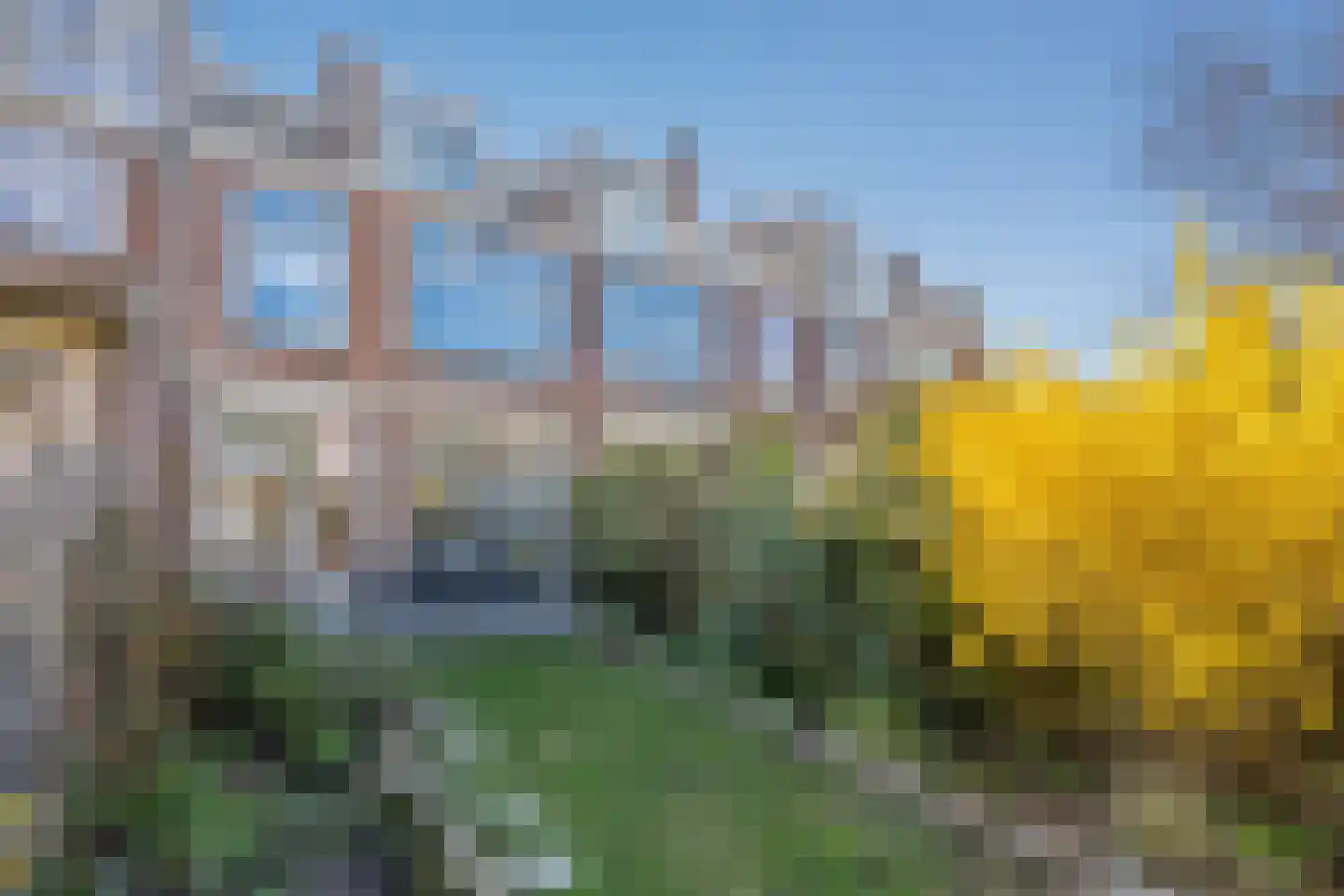 Oranjelaan 55 Rijswijk thumbnail 21