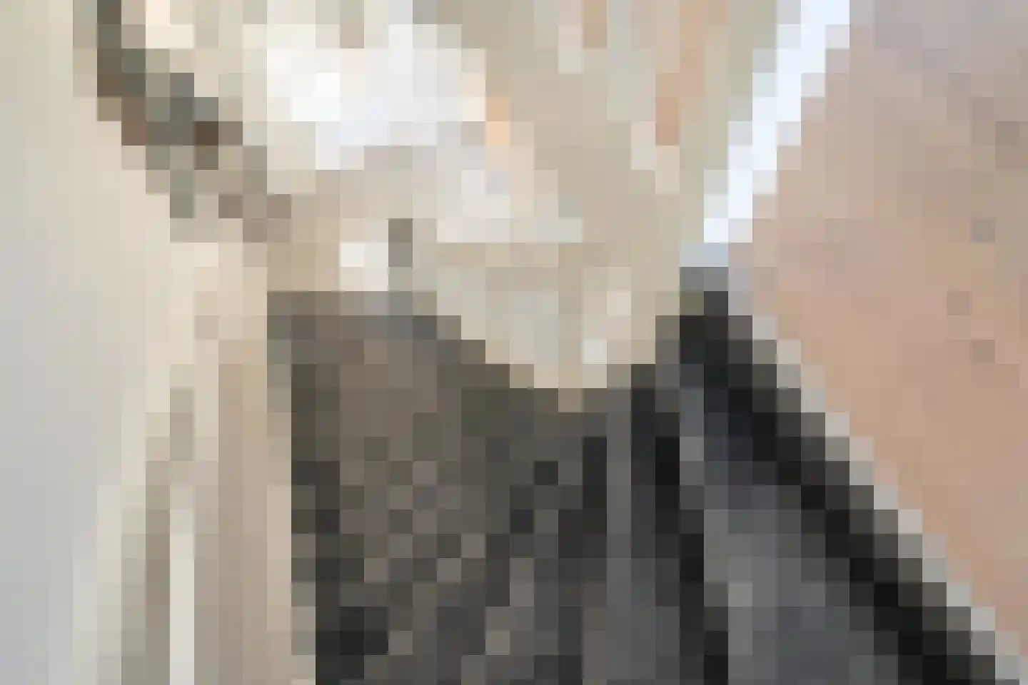 Oranjelaan 55 Rijswijk thumbnail 24