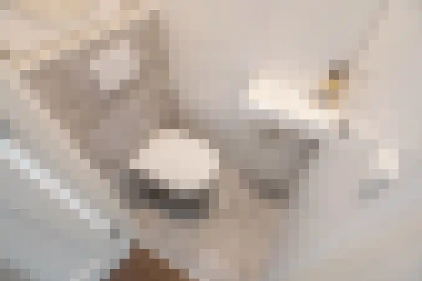 Oranjelaan 55 Rijswijk thumbnail 34