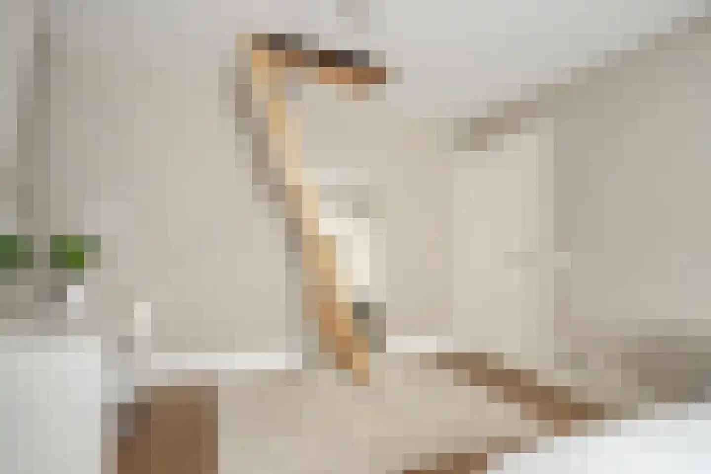 Oranjelaan 55 Rijswijk thumbnail 44