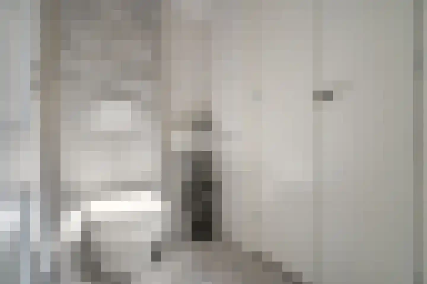 Oranjelaan 55 Rijswijk thumbnail 48