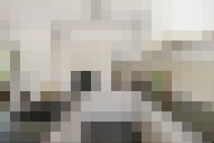 Oranjelaan 57 Diepenveen thumbnail 13