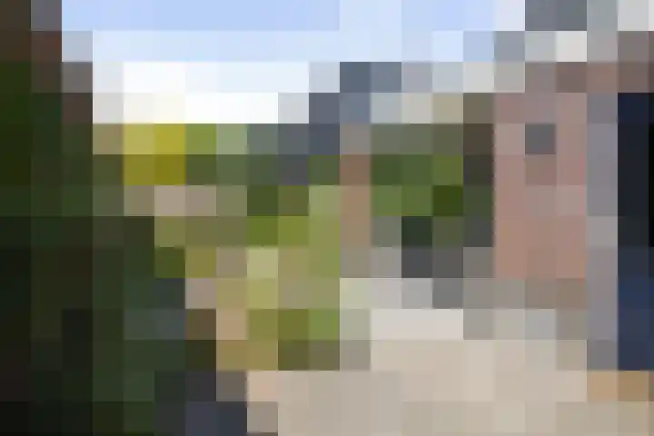 Oranjelaan 57 Diepenveen thumbnail 33