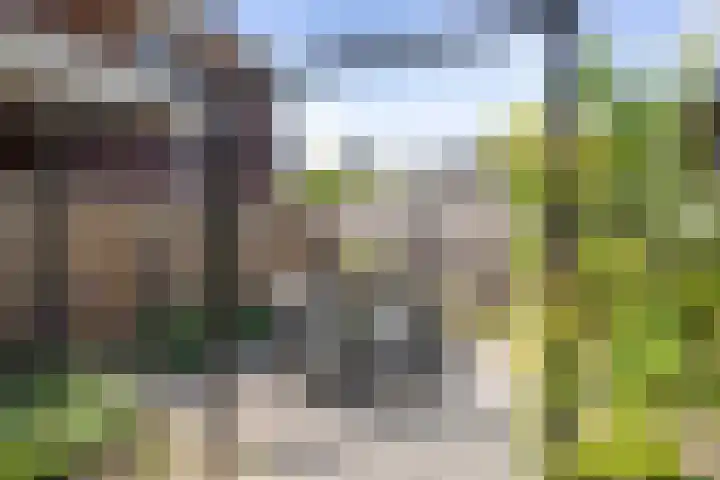 Oranjelaan 57 Diepenveen thumbnail 35
