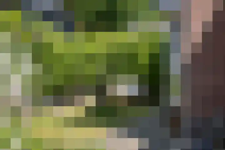 Oranjelaan 57 Diepenveen thumbnail 37