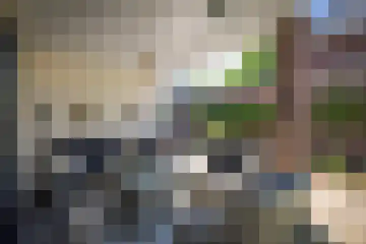 Oranjelaan 57 Diepenveen thumbnail 38