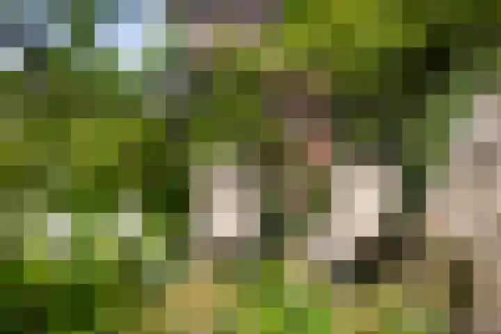 Oranjelaan 57 Diepenveen thumbnail 39