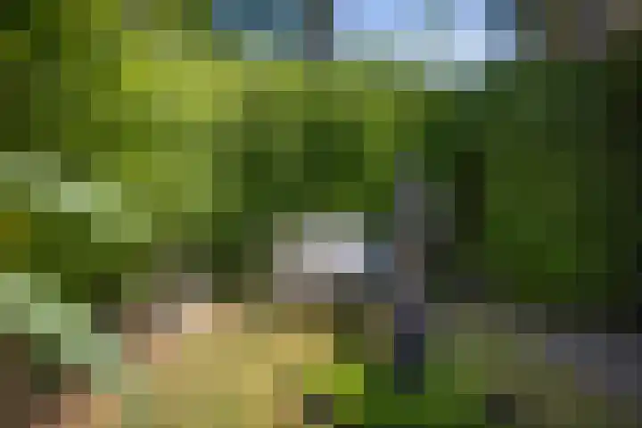 Oranjelaan 57 Diepenveen thumbnail 40