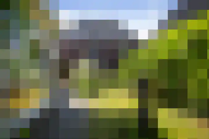 Oranjelaan 57 Diepenveen thumbnail 41