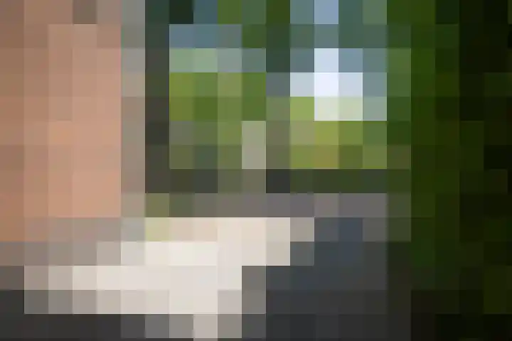 Oranjelaan 57 Diepenveen thumbnail 43