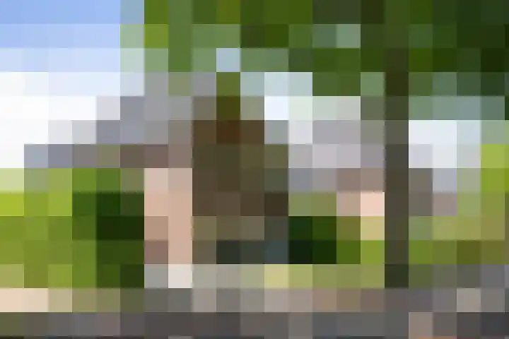 Oranjelaan 57 Diepenveen thumbnail 44