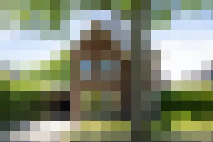 Oranjelaan 57 Diepenveen thumbnail 45