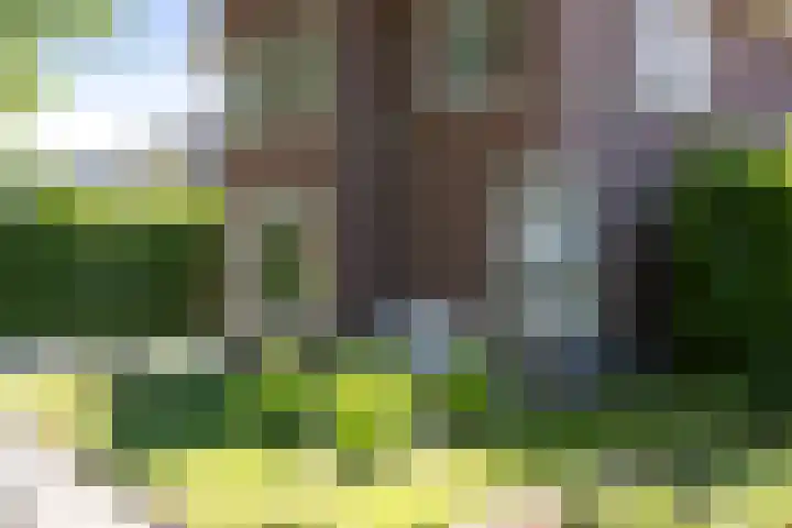 Oranjelaan 57 Diepenveen thumbnail 46