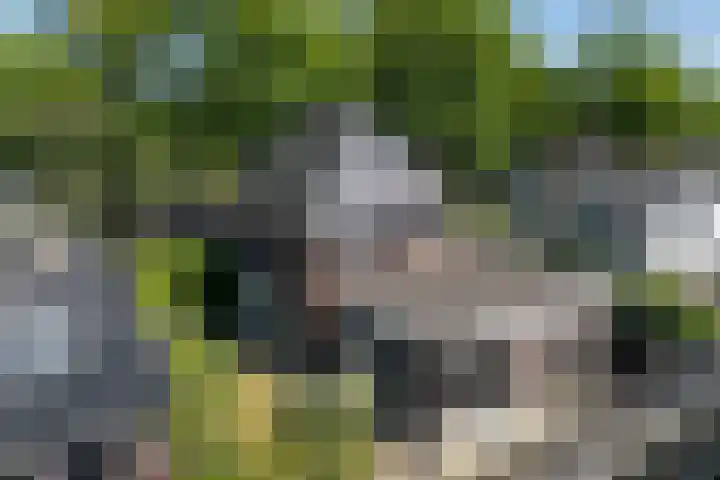 Oranjelaan 57 Diepenveen thumbnail 47