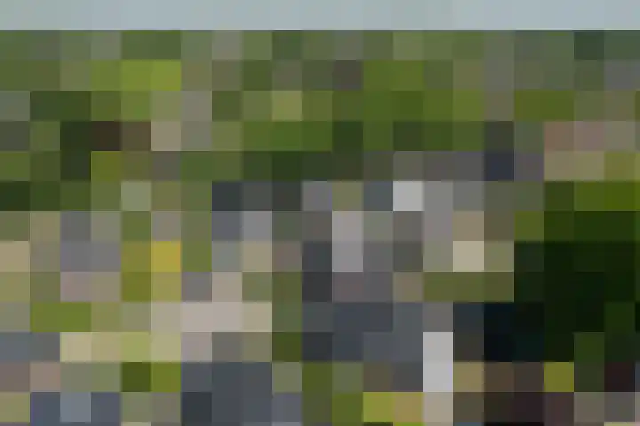 Oranjelaan 57 Diepenveen thumbnail 48