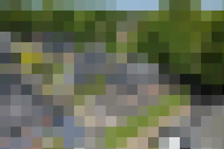 Oranjelaan 57 Diepenveen thumbnail 49