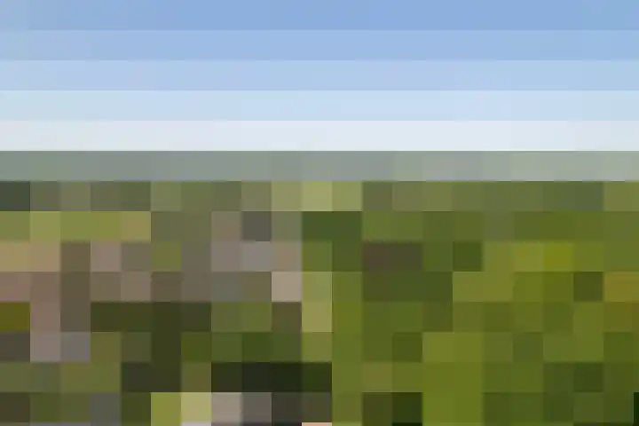 Oranjelaan 57 Diepenveen thumbnail 50