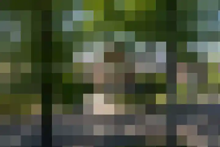 Oranjelaan 57 Diepenveen thumbnail 52