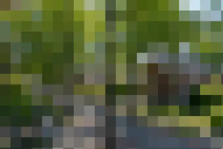 Oranjelaan 57 Diepenveen thumbnail 53