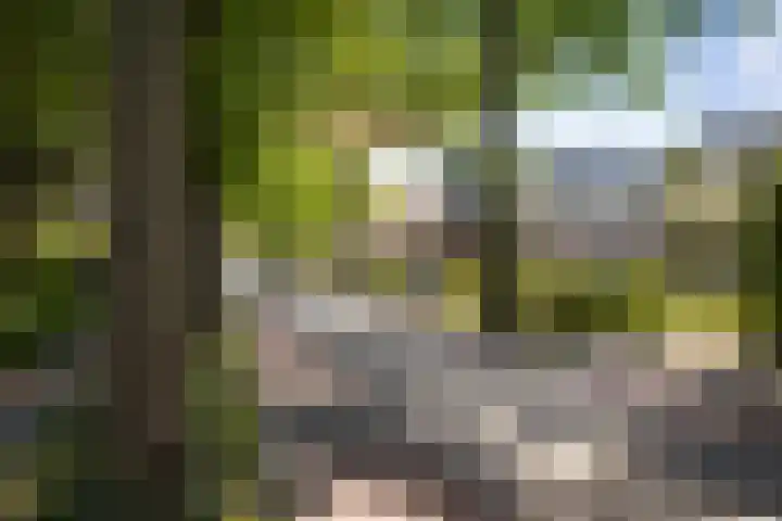 Oranjelaan 57 Diepenveen thumbnail 54