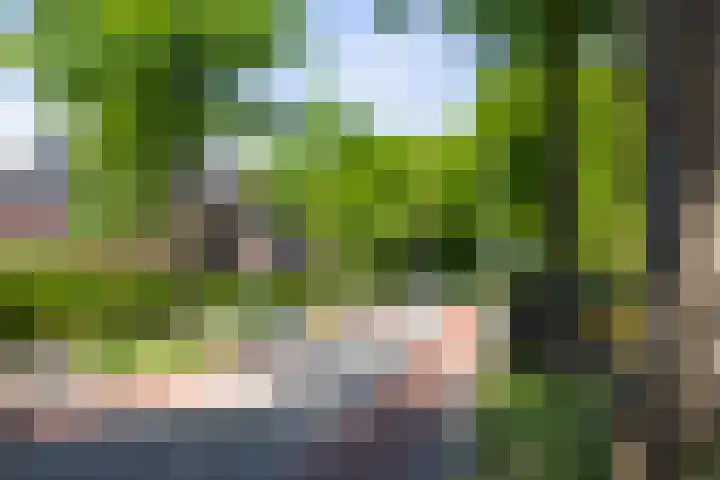 Oranjelaan 57 Diepenveen thumbnail 55