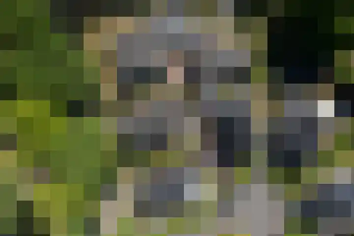 Oranjelaan 57 Diepenveen thumbnail 56