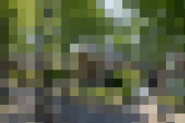 Oranjelaan 57 Diepenveen thumbnail 63