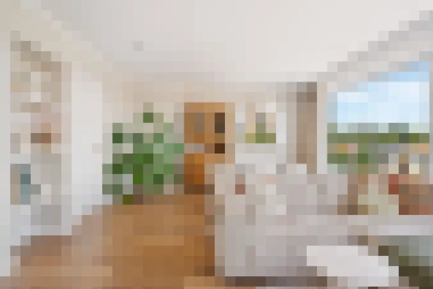 Oranjelaan 59 Zoetermeer thumbnail 17